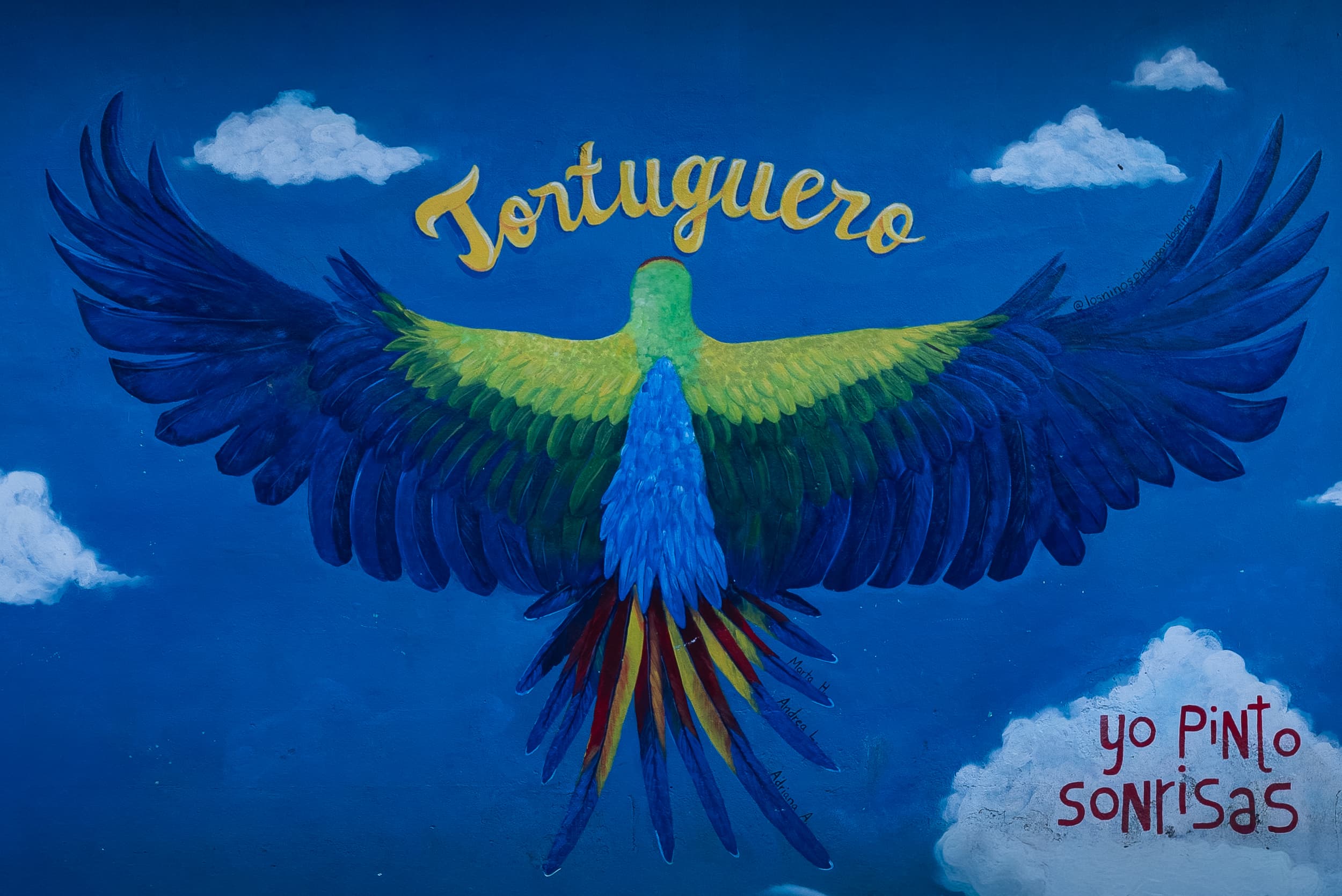 Guía Completa para Visitar Tortuguero, Costa Rica